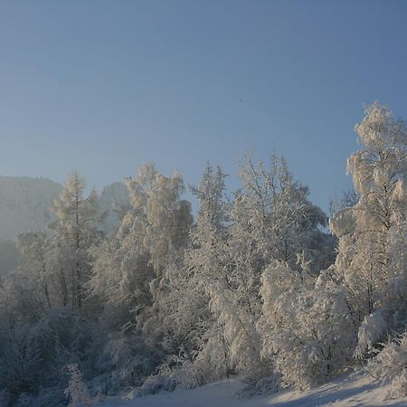 Apartamenty Paradis Zakopane Buitenkant foto