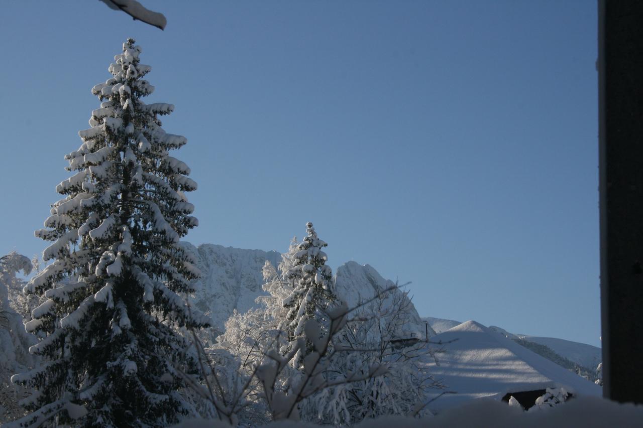 Apartamenty Paradis Zakopane Buitenkant foto